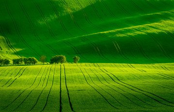 Rolling hills of South Moravia