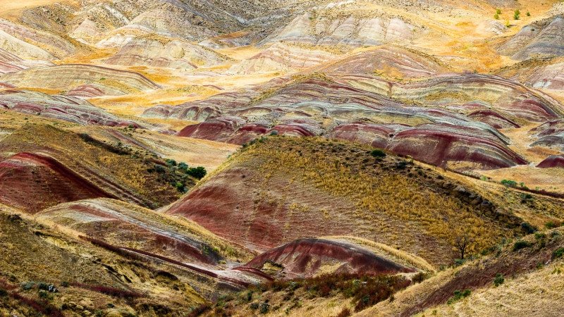 Landscape at Davit Gareja