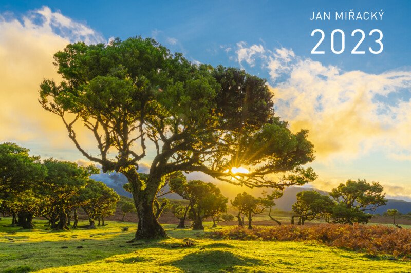 Calendar 2023 Jan Miřacký